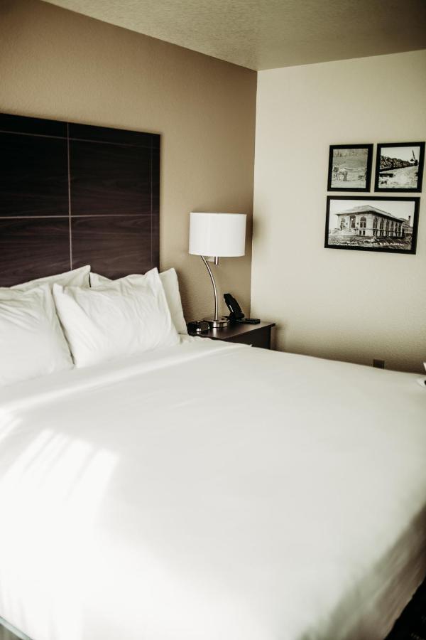Cobblestone Hotel & Suites อินเตอร์เนชั่นนอลฟอลส์ ภายนอก รูปภาพ